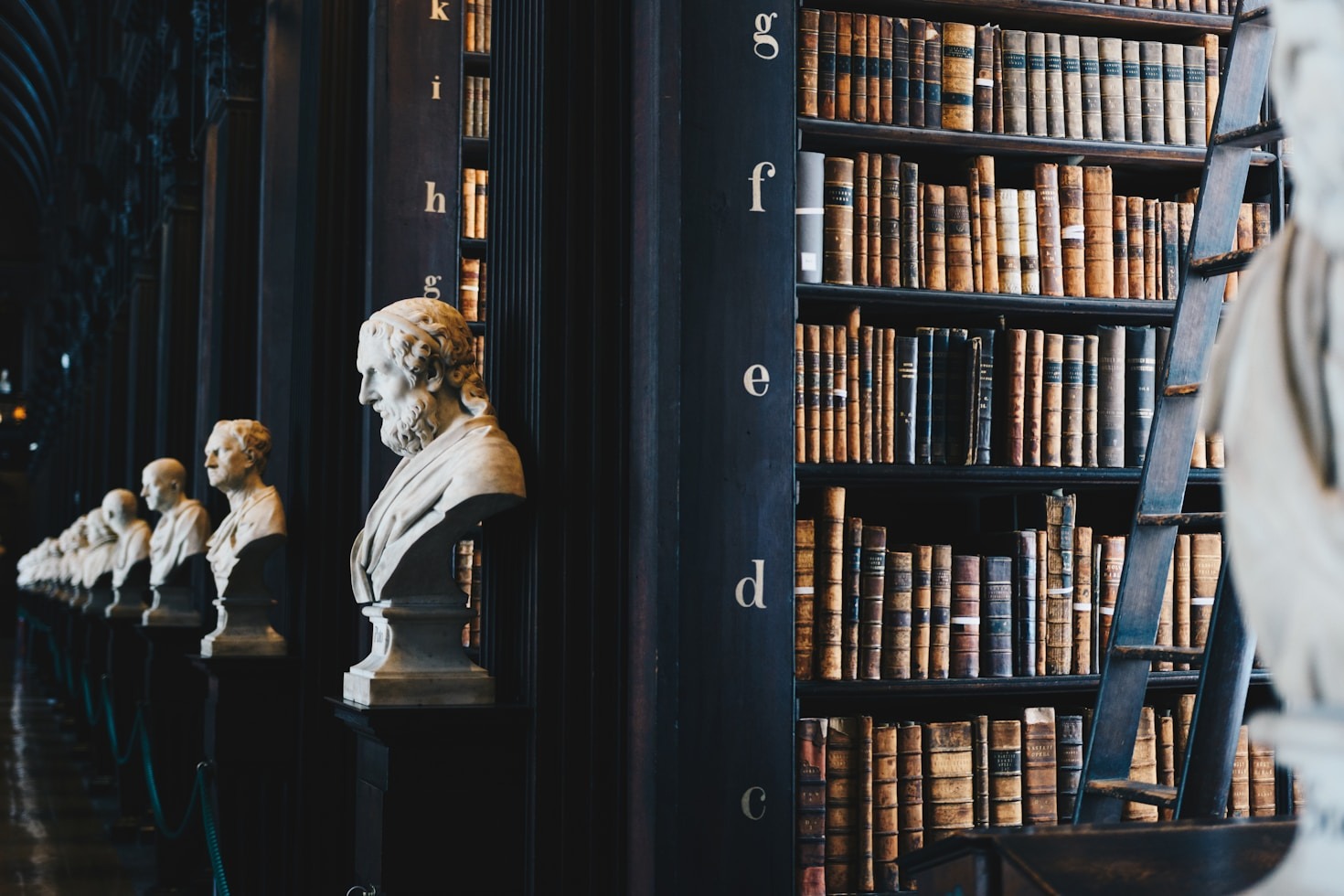 Hidden Gems Of Red Sea Literature